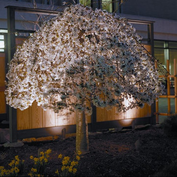 Affordable Lawn Sprinkler and Lighting's Artistry around Northern Virginia