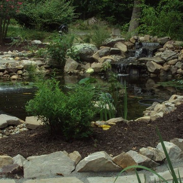 Ponds and Streams