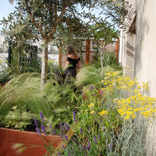Fiori