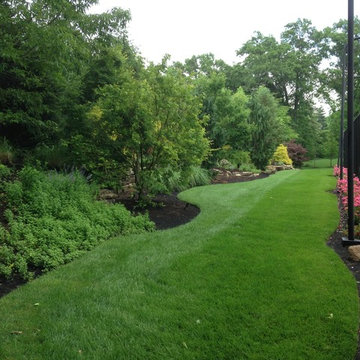 Lush Landscapes