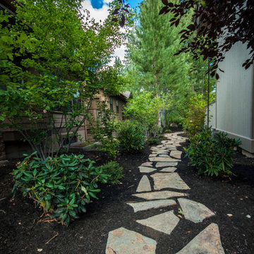 Brokentop Xeriscape