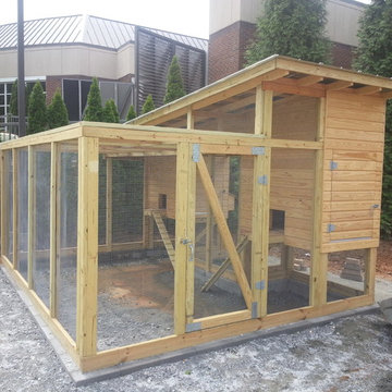 Extra Large Chicken Coop Combo