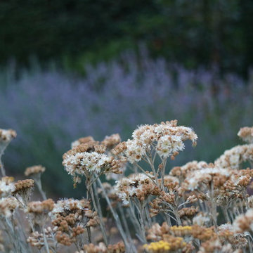 Giardino naturale