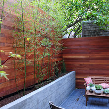 Backyard 2017 (including Fences)