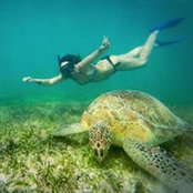 Virginia Condotti's photo