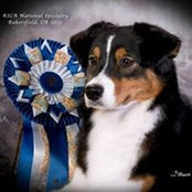 Stephanie Mogenhan's photo