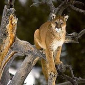 Bruce Le Doux's photo