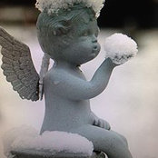 Ange Broceus's photo