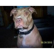 Deborah Hussey's photo