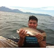 Duc Hoang's photo