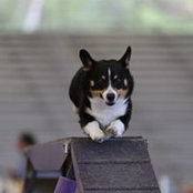Leslie Rudy's photo