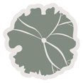 Elizabeth Jurecki's profile photo
