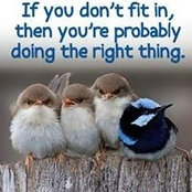 Melissa Richardson's photo