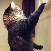 Crista Buckley's photo