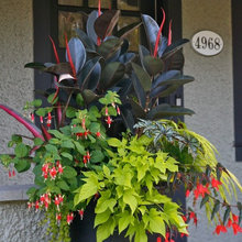 Container Garden