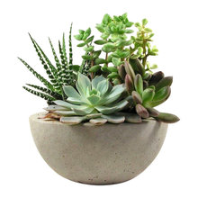 planters