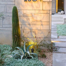 Front Yard Landscape