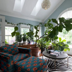 Solar Powered Fresh Air Skylight - Skylights