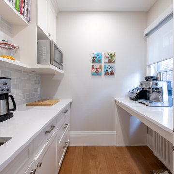 Remodel in the Glebe