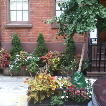 Best Patio Designer - NYPlantings