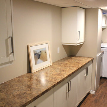 Whitmore Park Basement Development
