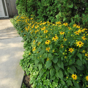 Barrington Landscaping