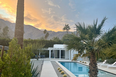 Palm Springs Residence - The Knott