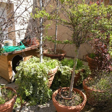 Así encontramos la terraza