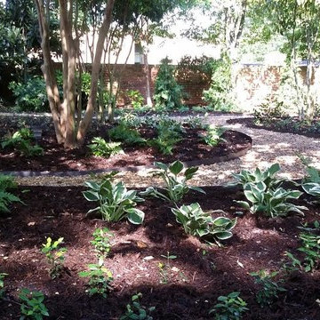 Shade Garden