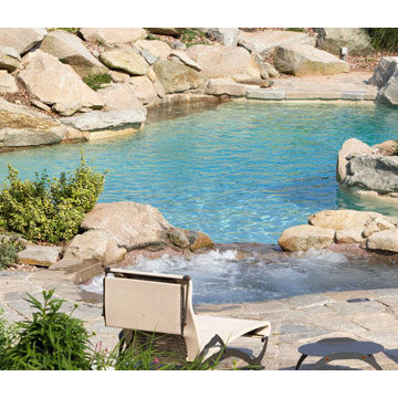 Custom Backyard Pool Portfolio