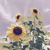 Gina Taborski Byers's photo
