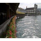 Maher Rashid's photo