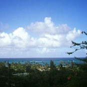 Kristen Wilkinson's photo