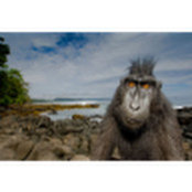 Stu Clay's photo