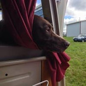 Casey Masterson's photo
