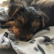 Jo Abernethy's photo