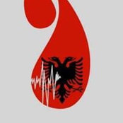 Marsida Bejko's photo