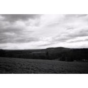 Emily Laughlin's photo