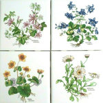 Mottles Murals Ceramic Tiles - Flower Herb Ceramic Tile, 4-Piece Set - Flower ceramic tiles