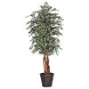 6' Variegated Smilax Executive