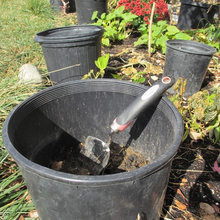 SOWING SEEDS