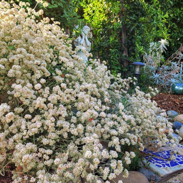 A Native & Herb Garden to Stroll Through