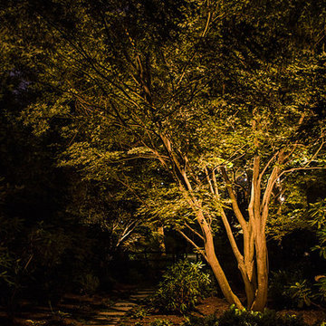 Landscape Lighting - Rydal, PA