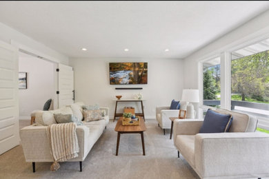 Living room - transitional living room idea in Minneapolis