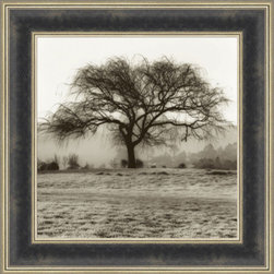 Blaustein Black and white trees - Products
