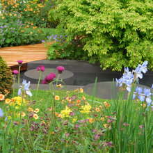 Landscape Ideas
