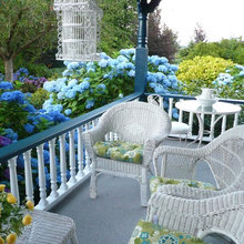 Michelle's Garden