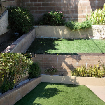 Backyard clean up and remodel