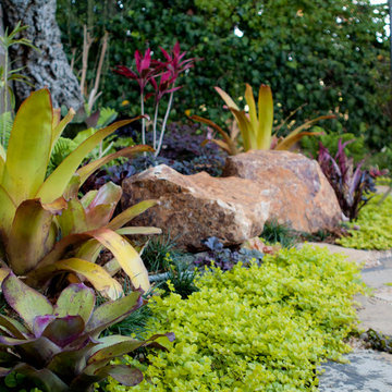 Colorful Shade Garden- Hollywood Hills