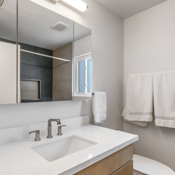 Martin's Guest Bathroom Remodeling